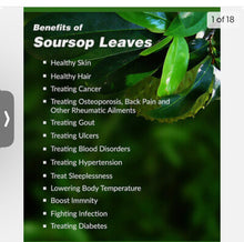 Load image into Gallery viewer, SourSop Leaves

